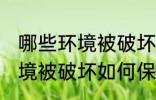 哪些环境被破坏怎样保护环境 哪些环境被破坏如何保护环境