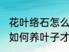 花叶络石怎么养叶子才好看 花叶络石如何养叶子才好看