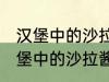 汉堡中的沙拉酱可以用炼乳代替吗 汉堡中的沙拉酱可不可以用炼乳代替