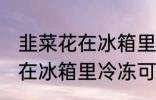 韭菜花在冰箱里冷冻能放多久 韭菜花在冰箱里冷冻可以放多长时间