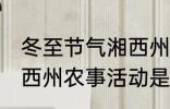 冬至节气湘西州农事活动 冬至节气湘西州农事活动是什么