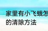 家里有小飞蛾怎么消灭 家里有小飞蛾的清除方法