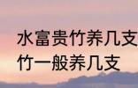 水富贵竹养几支最旺事业运 水养富贵竹一般养几支