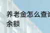 养老金怎么查询余额 养老金如何查询余额