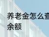 养老金怎么查询余额 养老金如何查询余额