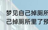 梦见自己掉厕所里了怎么回事 梦见自己掉厕所里了预兆什么