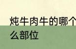 炖牛肉牛的哪个部位 炖牛肉牛选择什么部位