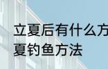 立夏后有什么方法好钓鱼快速上钓 立夏钓鱼方法