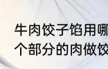 牛肉饺子馅用哪个部位的牛肉 牛的那个部分的肉做饺子馅比较好吃