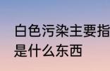 白色污染主要指的是什么 白色污染的是什么东西