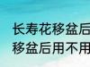 长寿花移盆后需要立刻浇水吗 长寿花移盆后用不用马上浇水