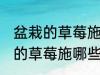 盆栽的草莓施什么肥好不要化肥 盆栽的草莓施哪些肥好不要化肥