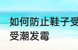 如何防止鞋子受潮发霉 怎样防止鞋子受潮发霉