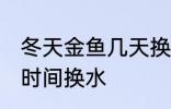 冬天金鱼几天换一次水 冬天金鱼多长时间换水