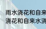 雨水浇花和自来水浇花有区别吗 雨水浇花和自来水浇花有什么区别