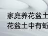 家庭养花盆土中有蚯蚓怎么办 家庭养花盆土中有蚯蚓的解决方法