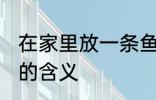 在家里放一条鱼有什么说法 养一条鱼的含义